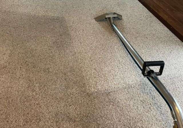 5 Misconceptions About Professional Carpet Cleaning in Sydney