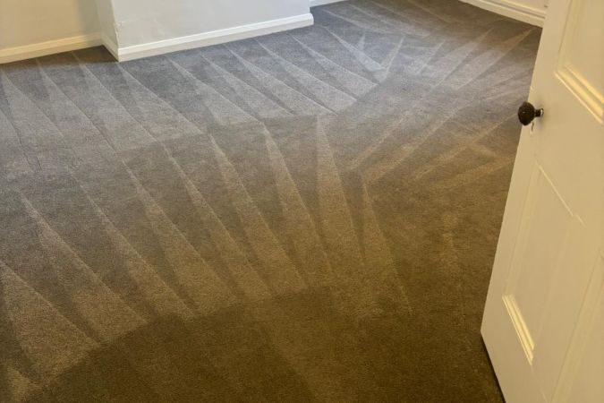 Professionally cleaned carpet with vacuum lines in an empty Sydney room