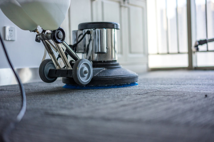 Professional carpet cleaning services in Sydney